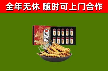 兖州烟酒回收冬虫夏草礼盒.jpg